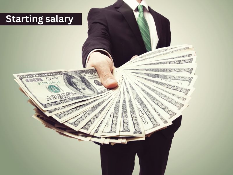 Starting salary for MCA freshers