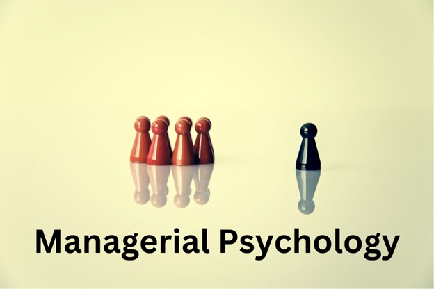 Managerial Psychology