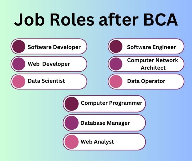 Career decisions post-BCA