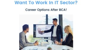 10 Secure Niche Careers After A BCA Program