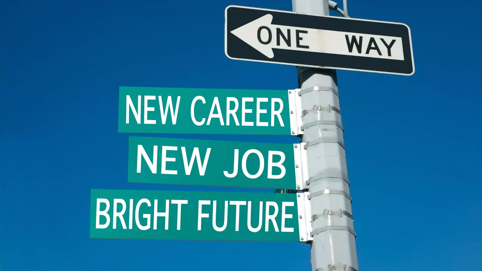 Future Trends In Commerce With New Career Opportunities