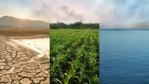 The Impact of Climate Change on Global Supply Chains