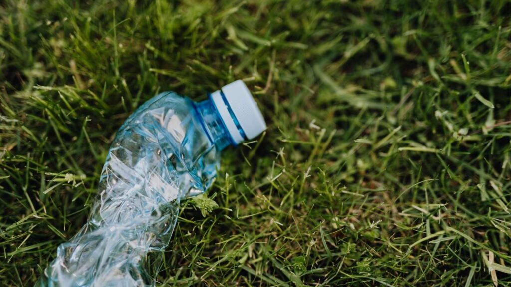 The Growing Environmental Problem of Single-Use Plastics