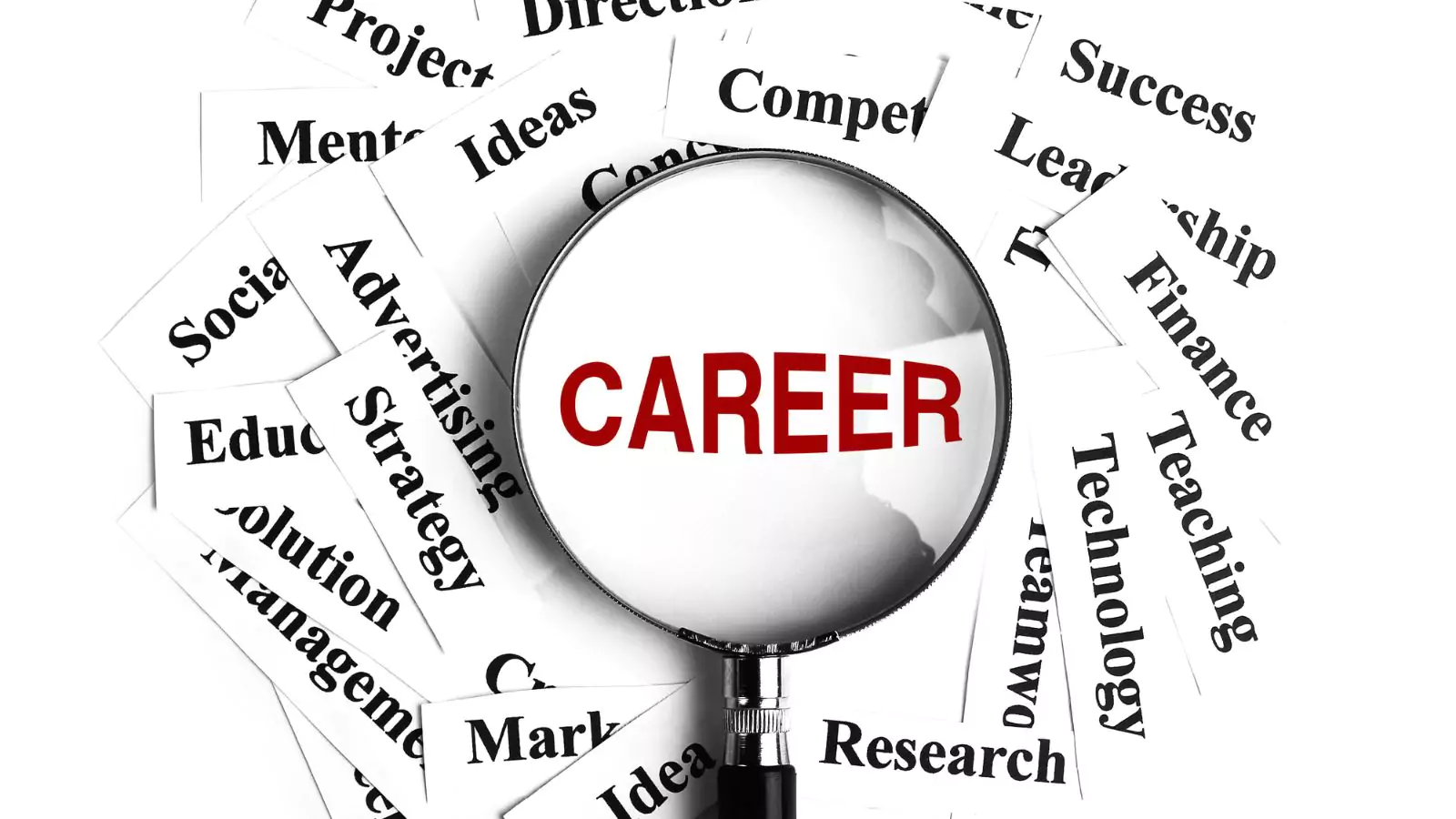 5 Hottest Careers for BBA Grads with High Demand